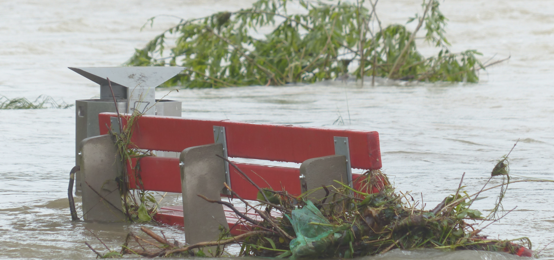 Bezpieczeństwo Klimatyczne