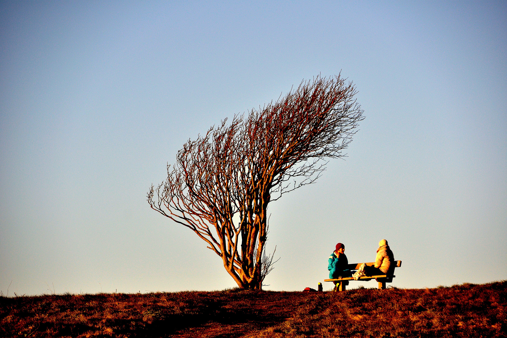 People sitting on a bench in the sun